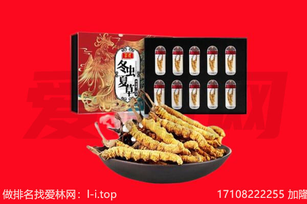 进贤县回收虫草.jpg